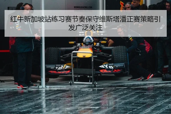 红牛新加坡站练习赛节奏保守维斯塔潘正赛策略引发广泛关注